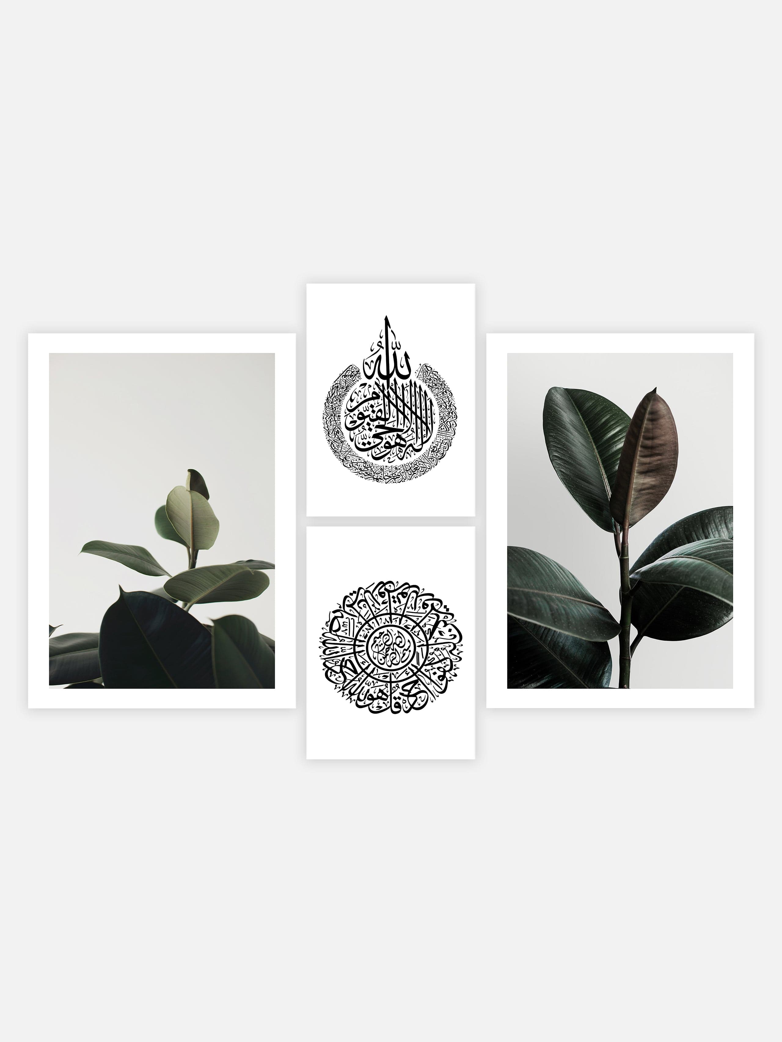 Rubber Plants & Ayats Set