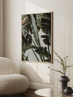 Green Plants Poster
