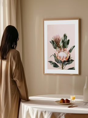 Protea Flowers Poster